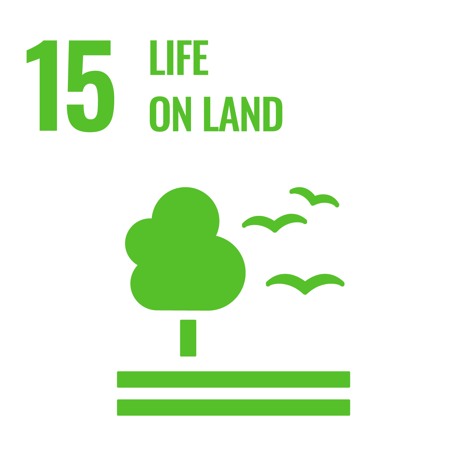 Goal 15 - Life on land