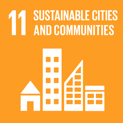 Goal 11 - Sustainable cities & communities